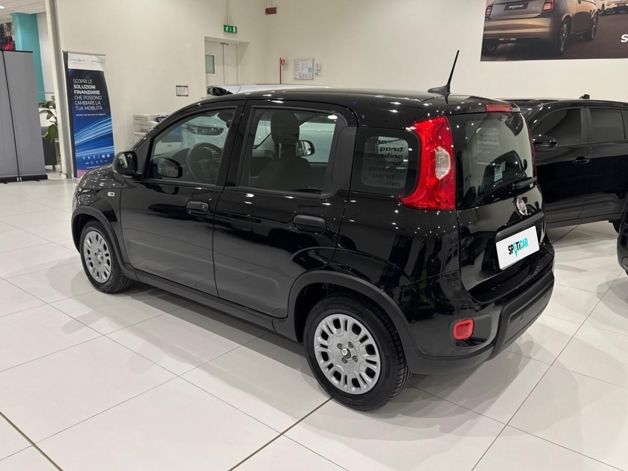 Fiat Fiat Panda usata 14