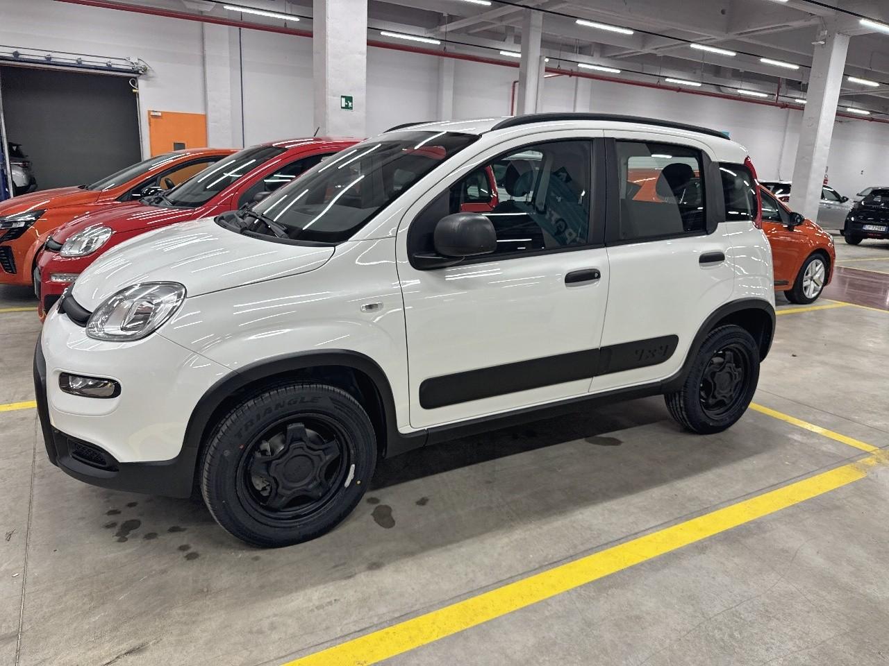 Fiat Fiat Panda usata 15