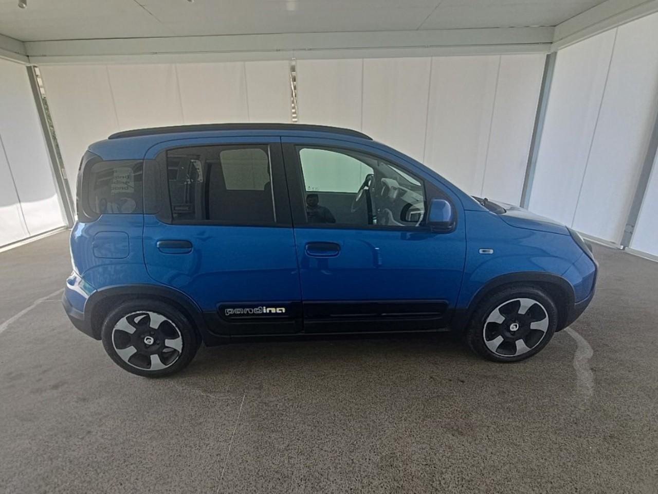Fiat Fiat Panda usata 14