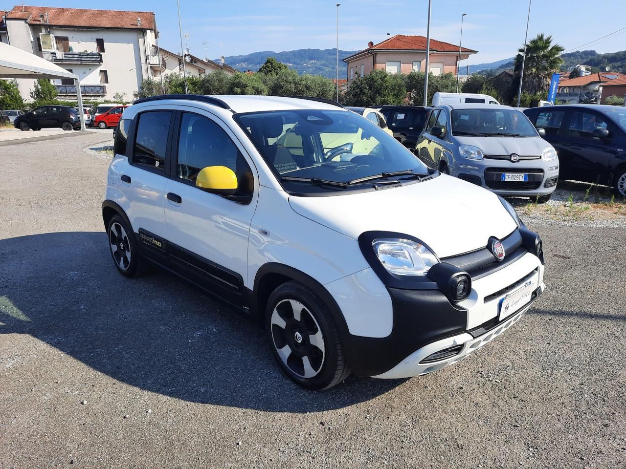 Fiat Panda PANDA Pandina 1.0 FireFly 70cv S and S Hybrid Cross 