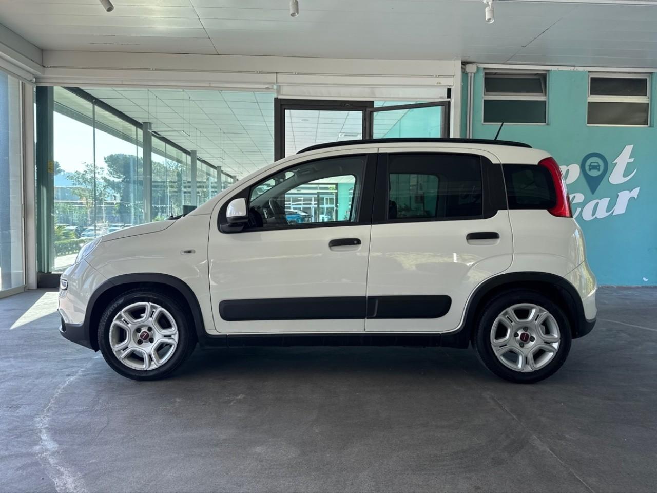 Fiat Fiat Panda usata 13