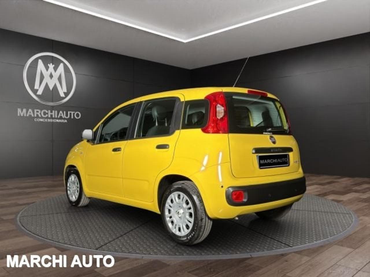 Fiat Fiat Panda usata 19
