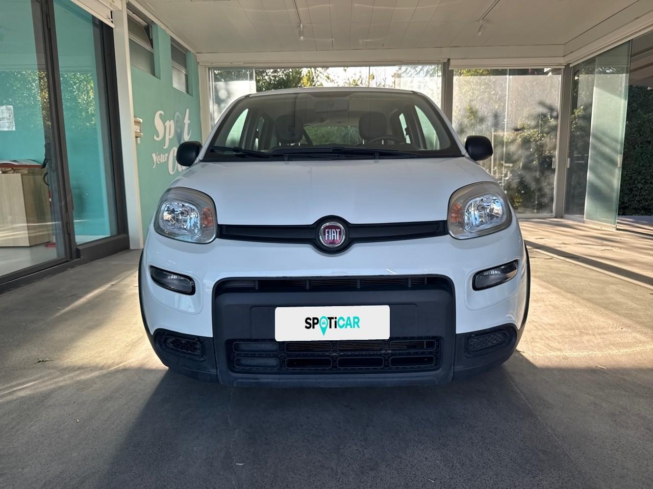 Fiat Fiat Panda usata 11