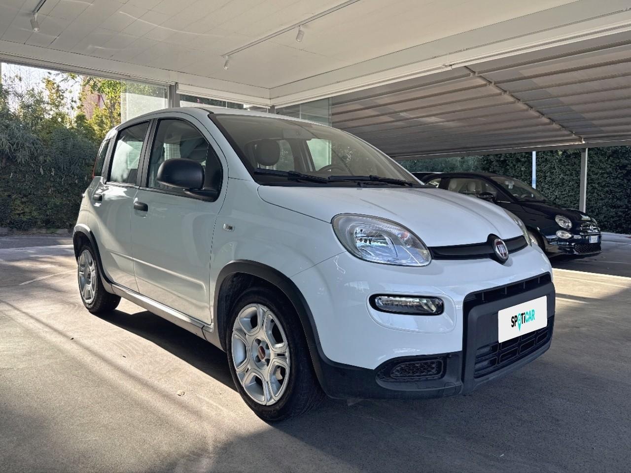 Fiat Fiat Panda usata 12