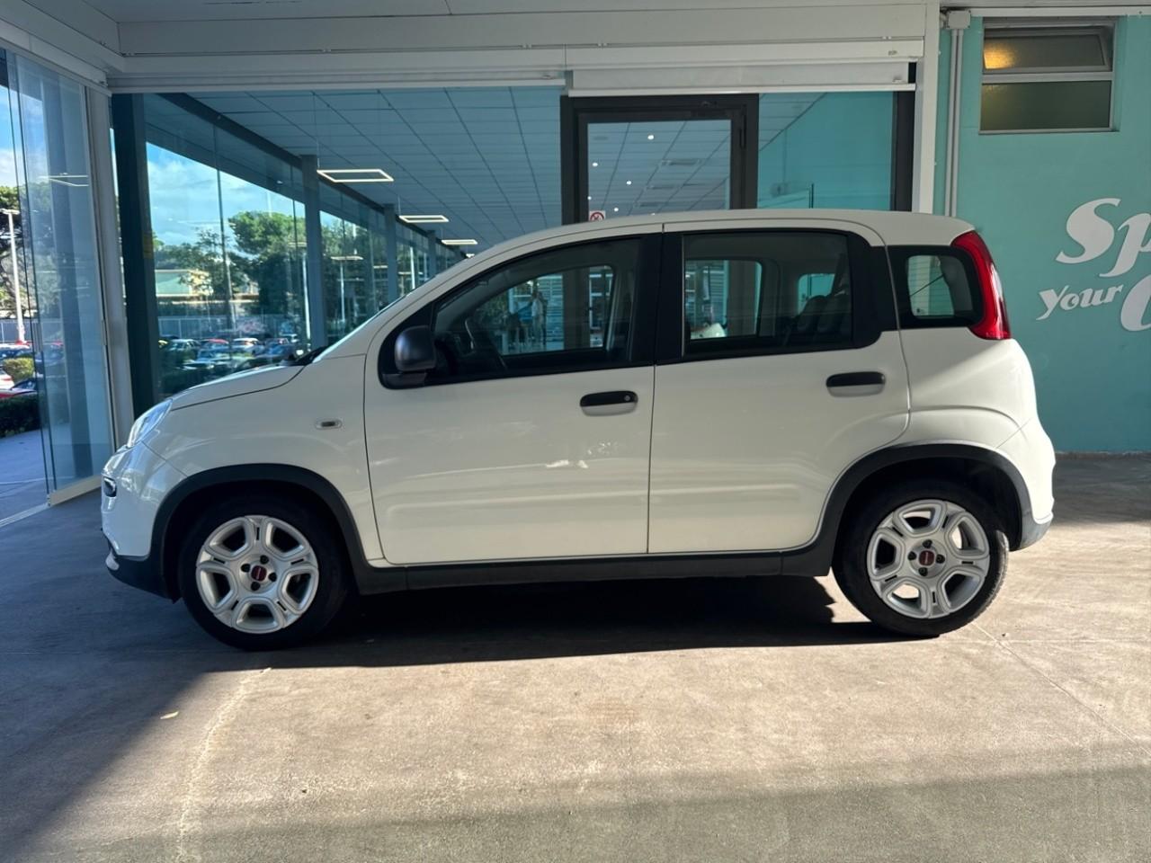 Fiat Fiat Panda usata 13