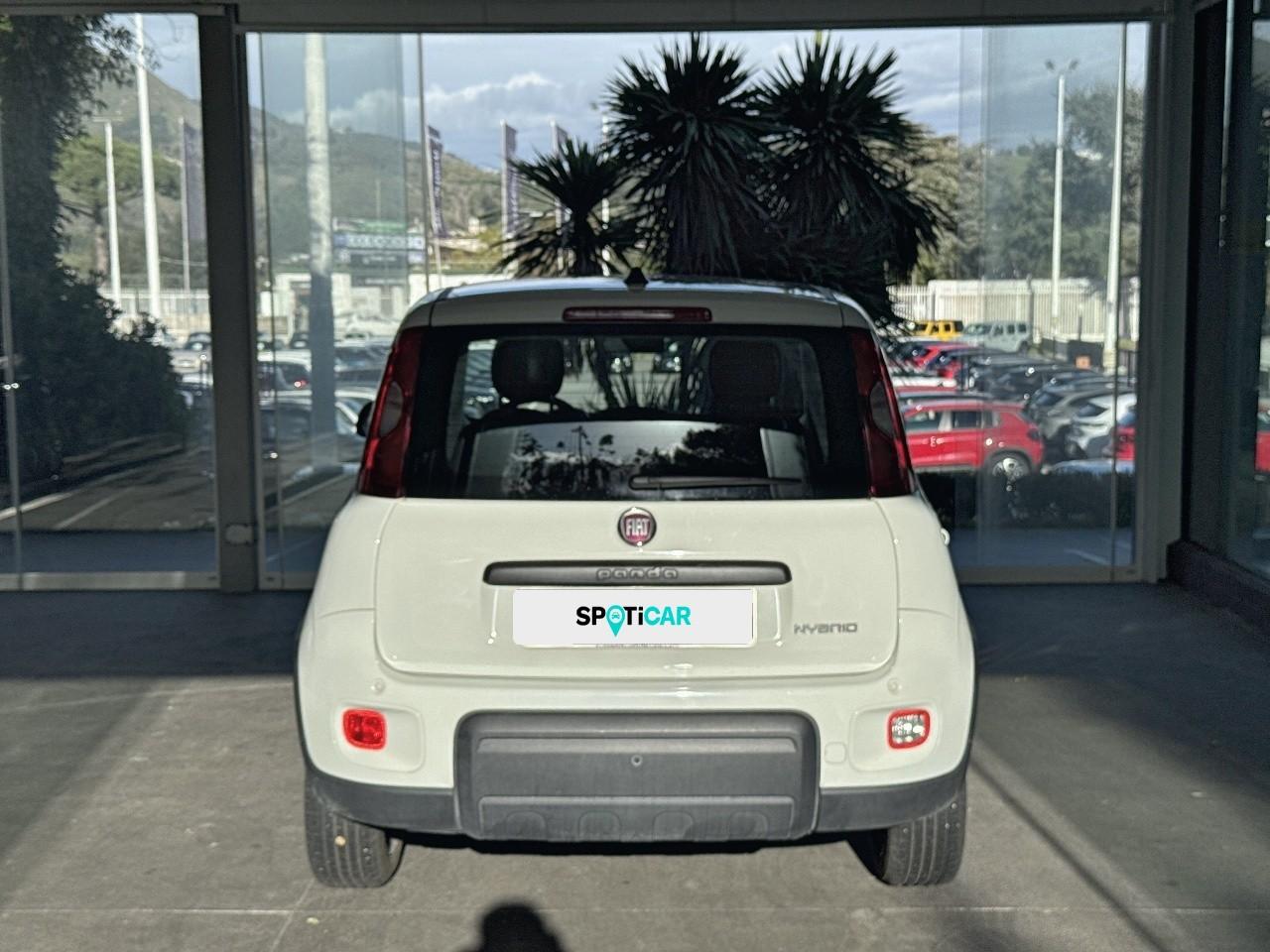 Fiat Fiat Panda usata 14