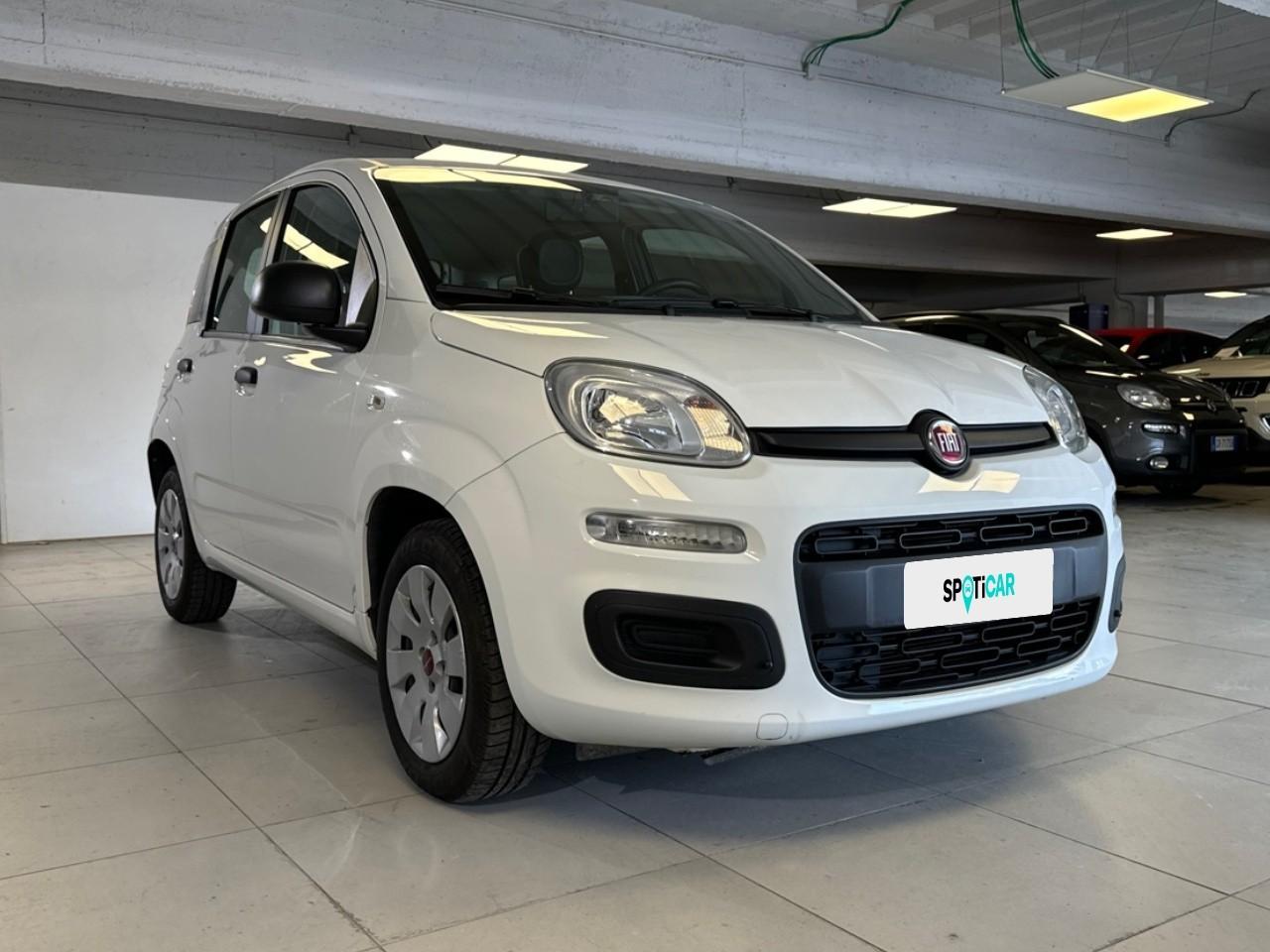 Fiat Fiat Panda usata 13