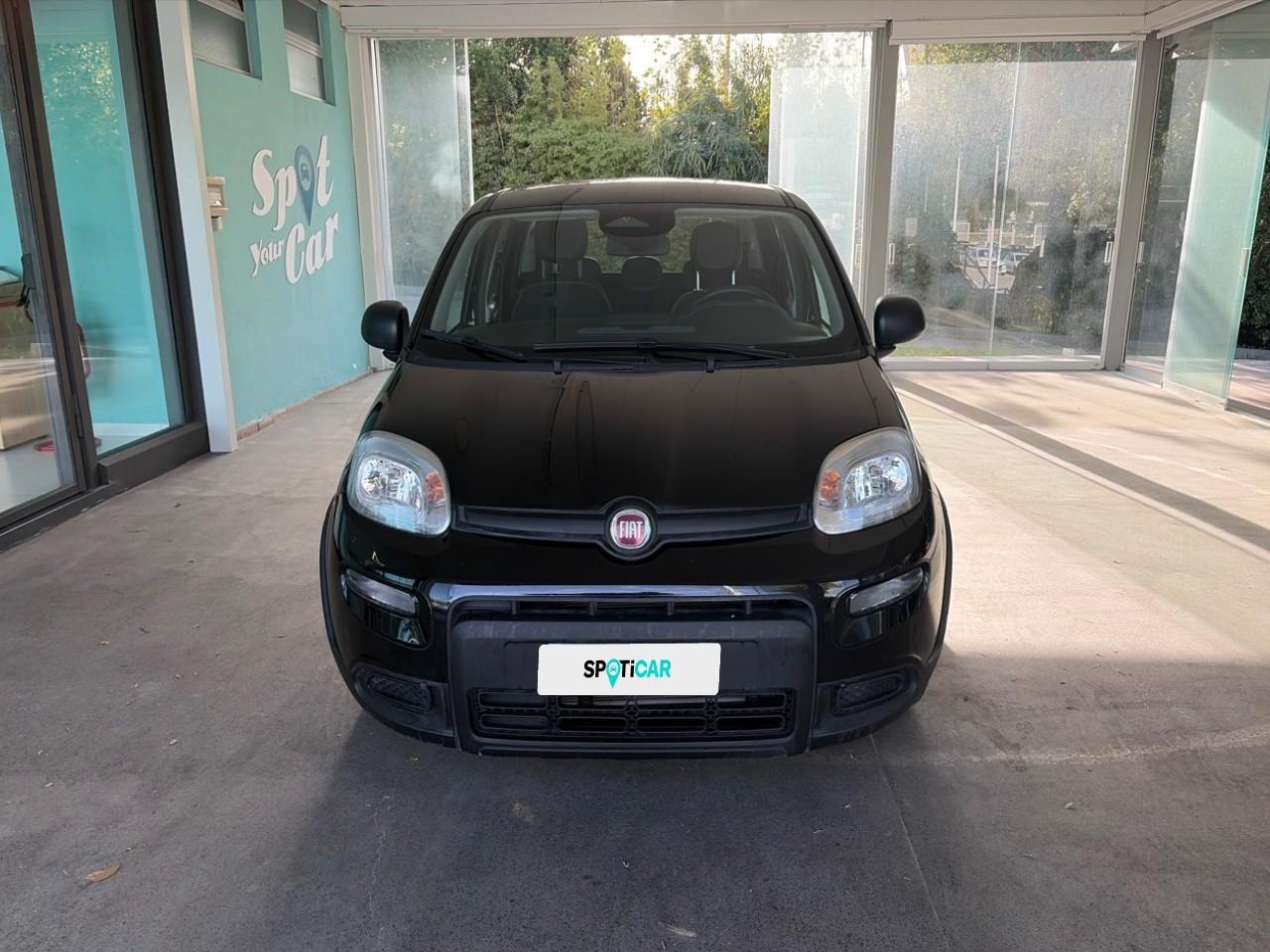 Fiat Fiat Panda usata 11