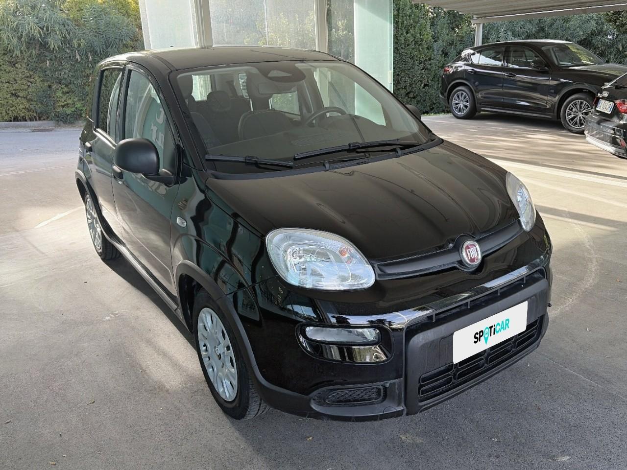 Fiat Fiat Panda usata 12