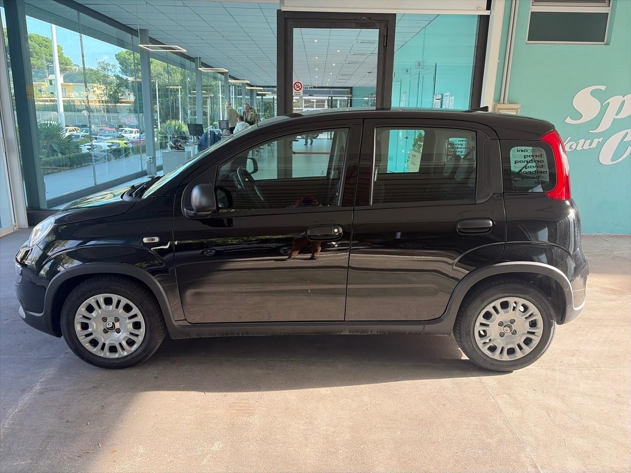 Fiat Fiat Panda usata 13