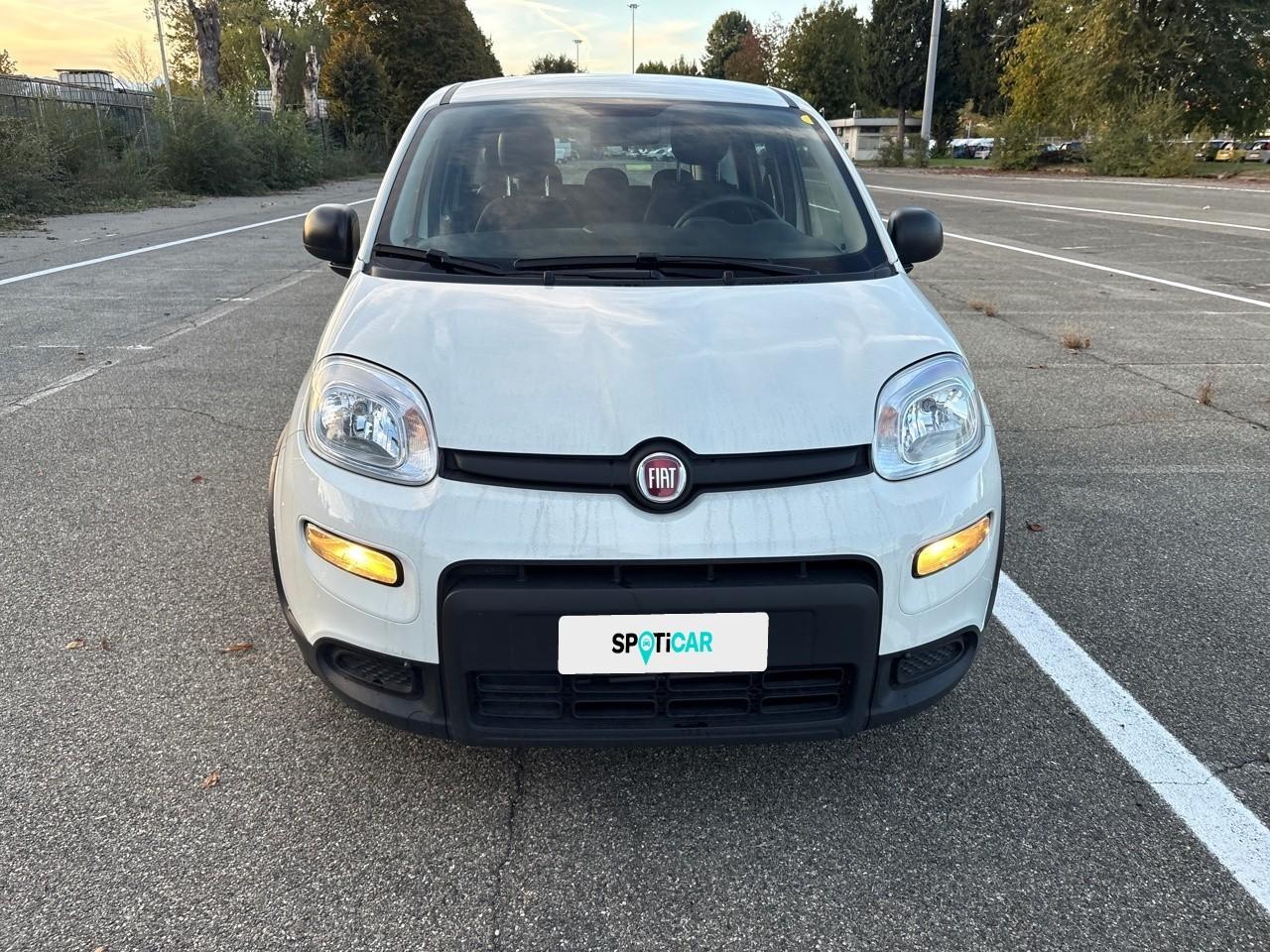 Fiat Fiat Panda usata 11