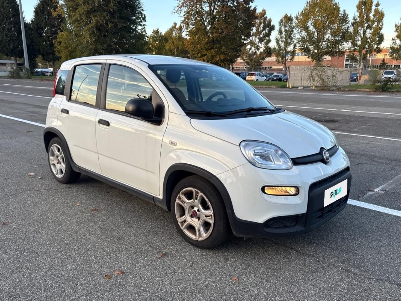 Fiat Fiat Panda usata 14