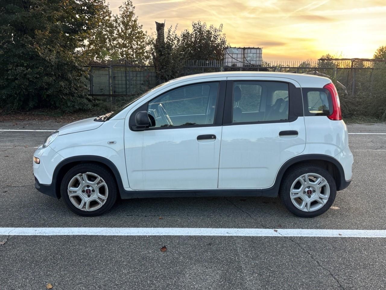 Fiat Fiat Panda usata 15