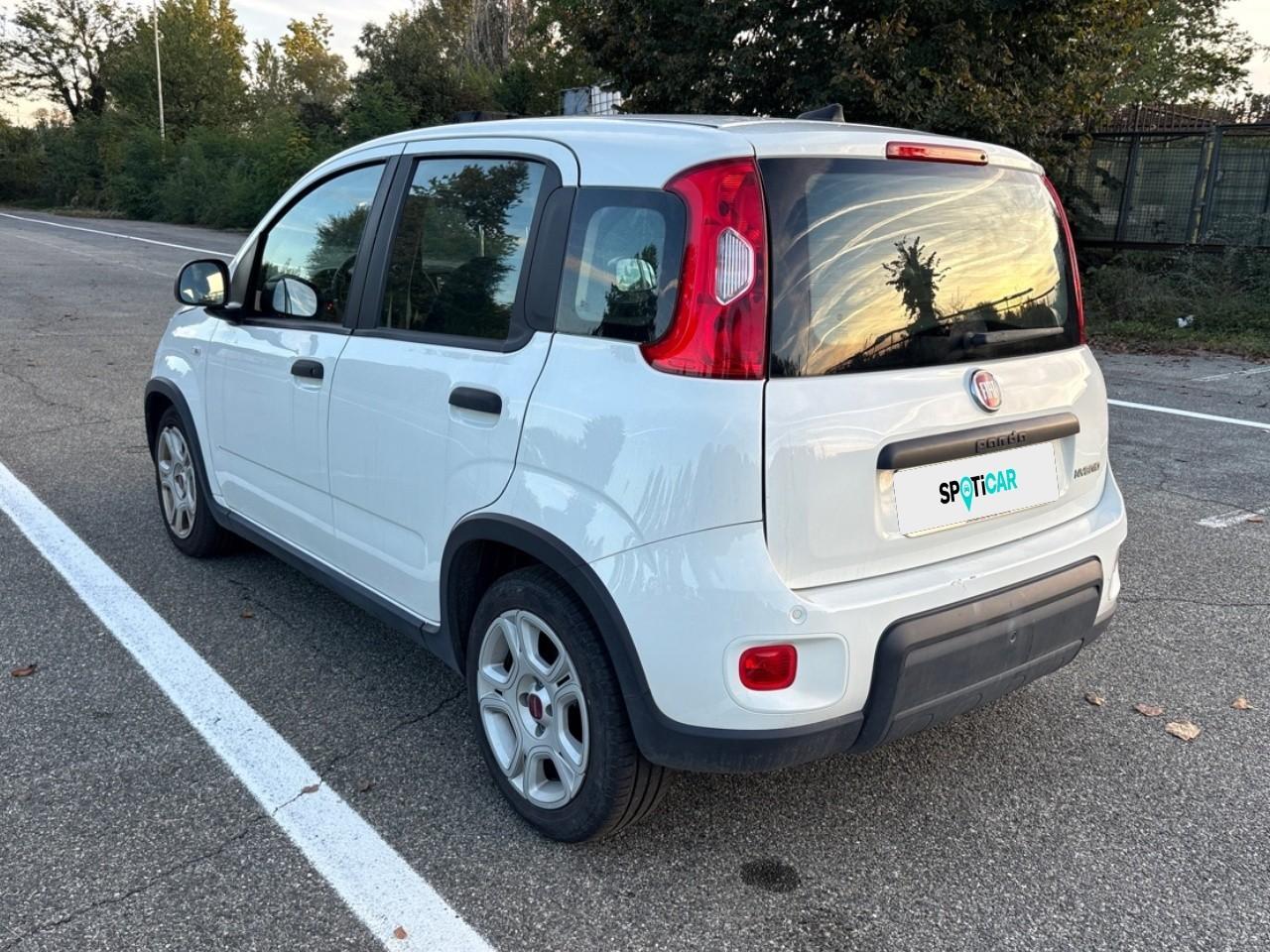 Fiat Fiat Panda usata 18