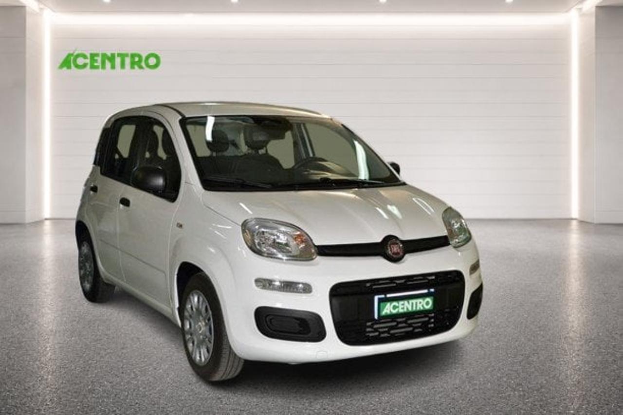 Fiat Fiat Panda usata 13