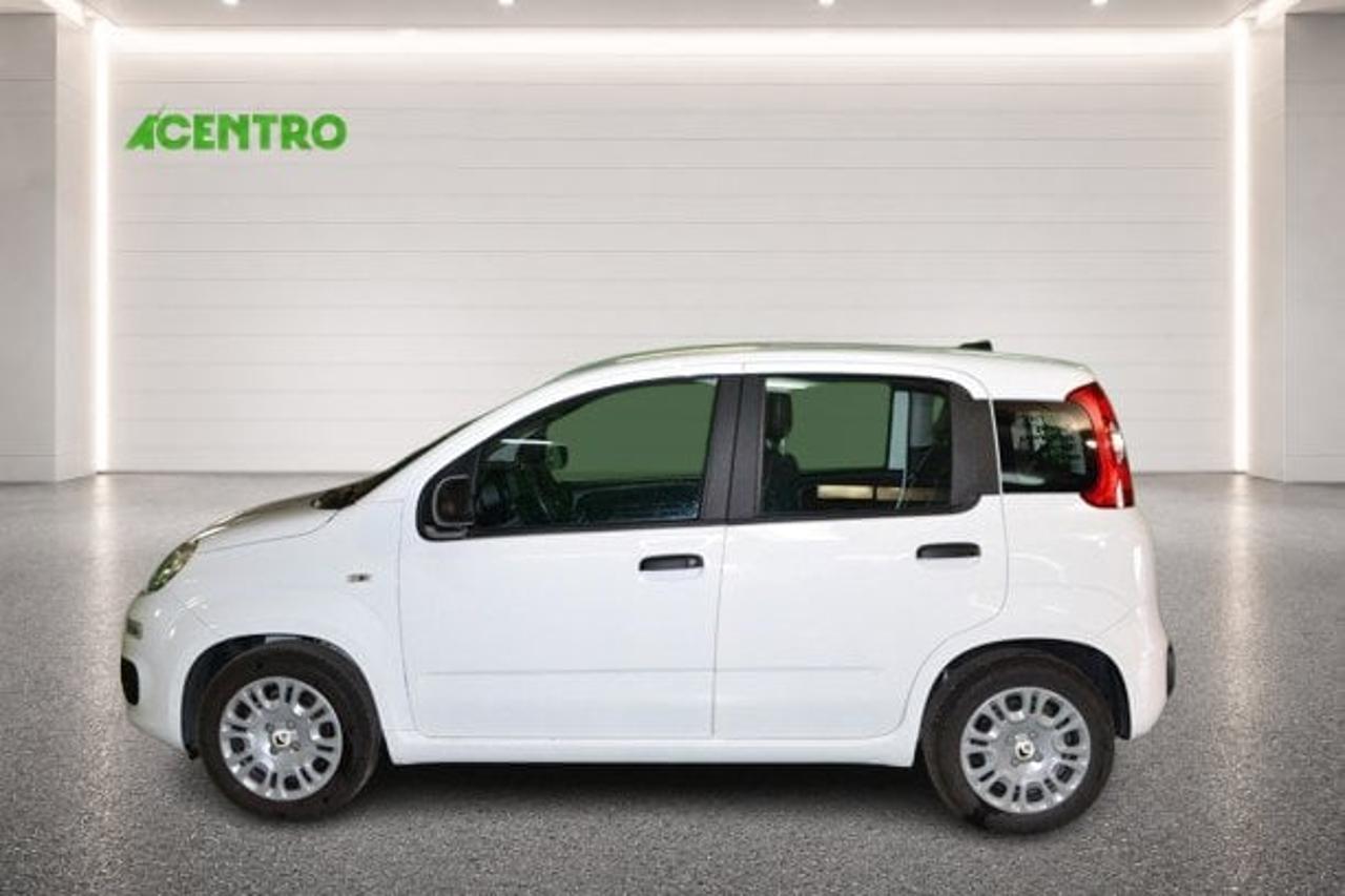Fiat Fiat Panda usata 17