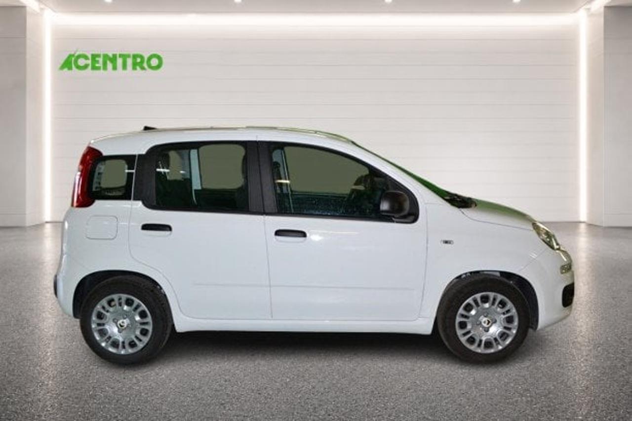 Fiat Fiat Panda usata 18