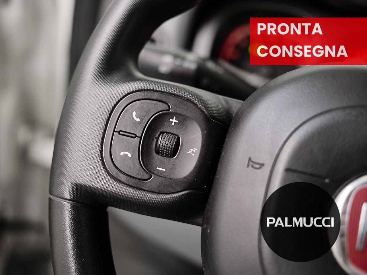 Fiat Fiat Panda usata 12