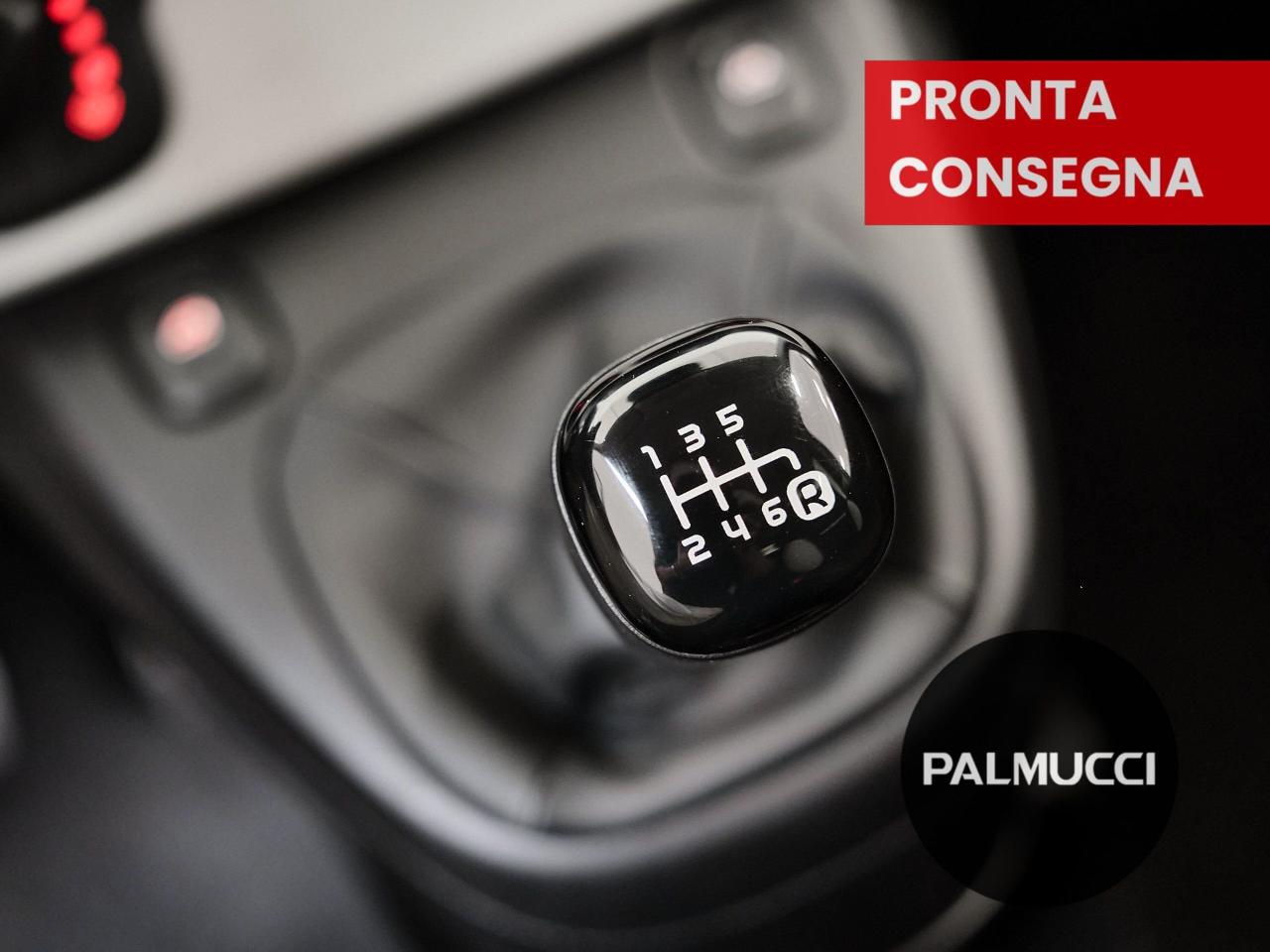 Fiat Fiat Panda usata 12