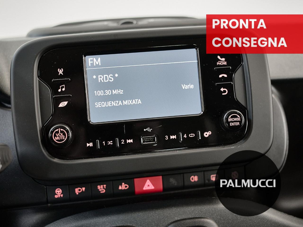 Fiat Fiat Panda usata 6