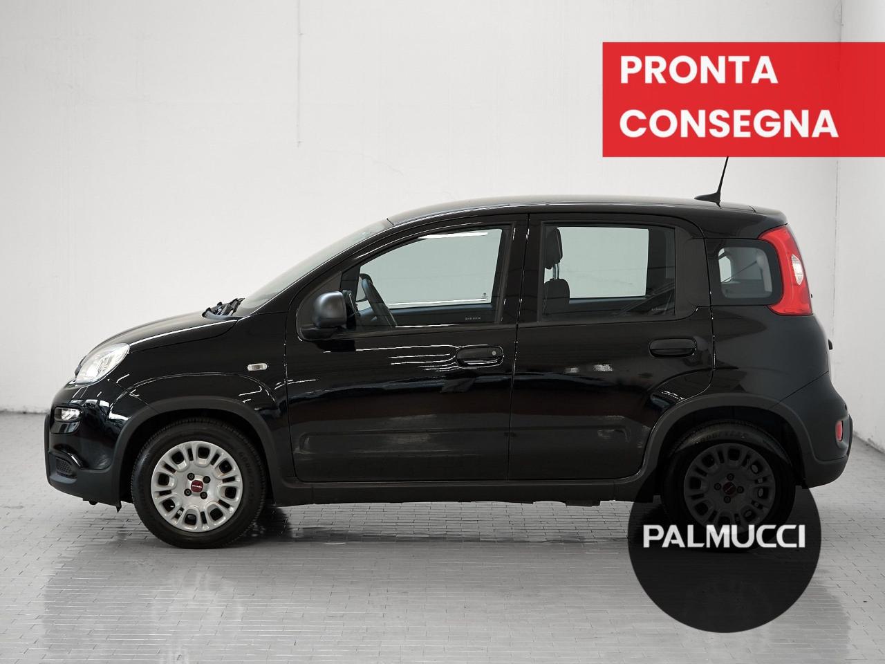 Fiat Fiat Panda usata 15