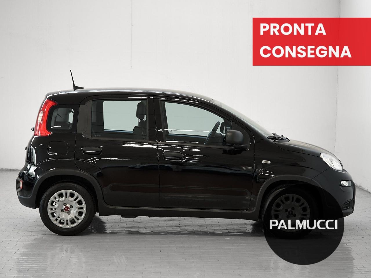 Fiat Fiat Panda usata 16