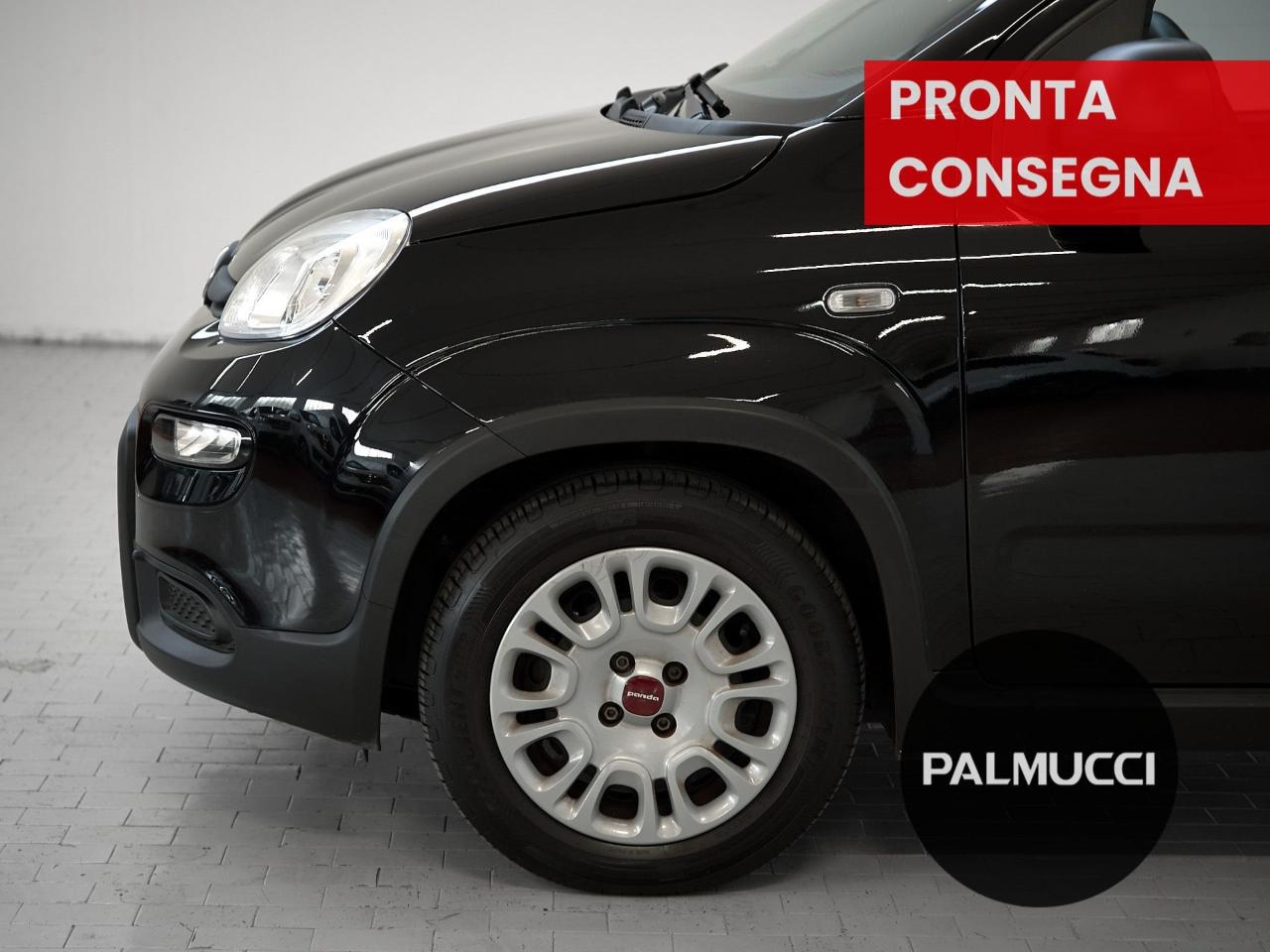Fiat Fiat Panda usata 17
