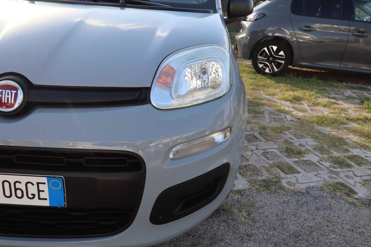 Fiat Fiat Panda usata 8