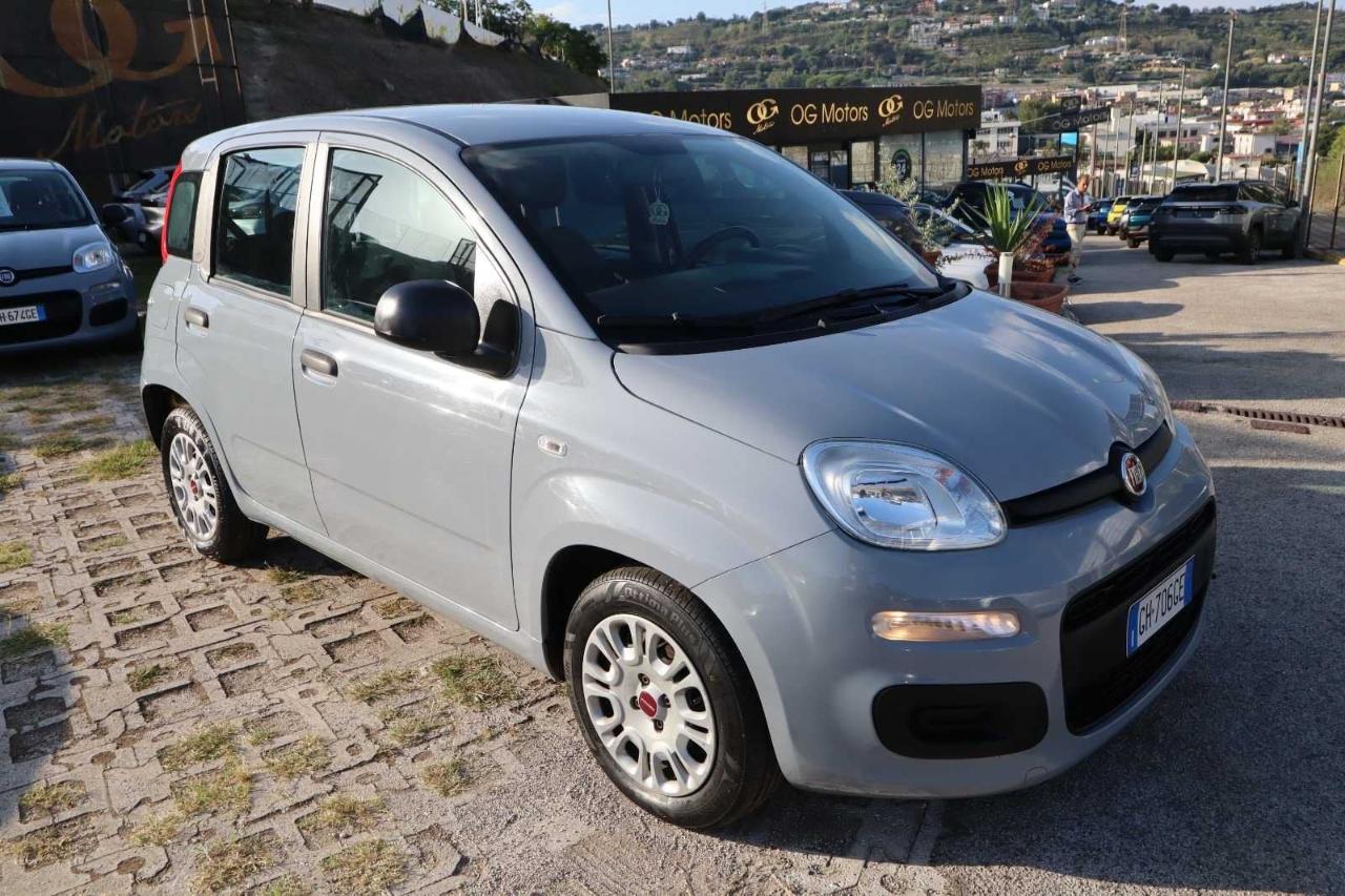 Fiat Fiat Panda usata 11