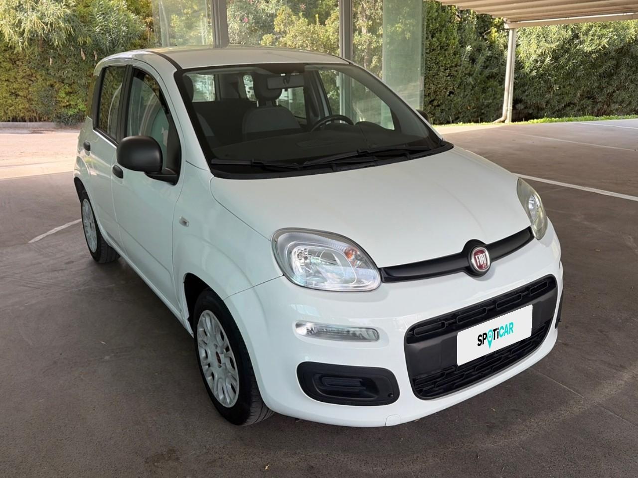 Fiat Fiat Panda usata 12