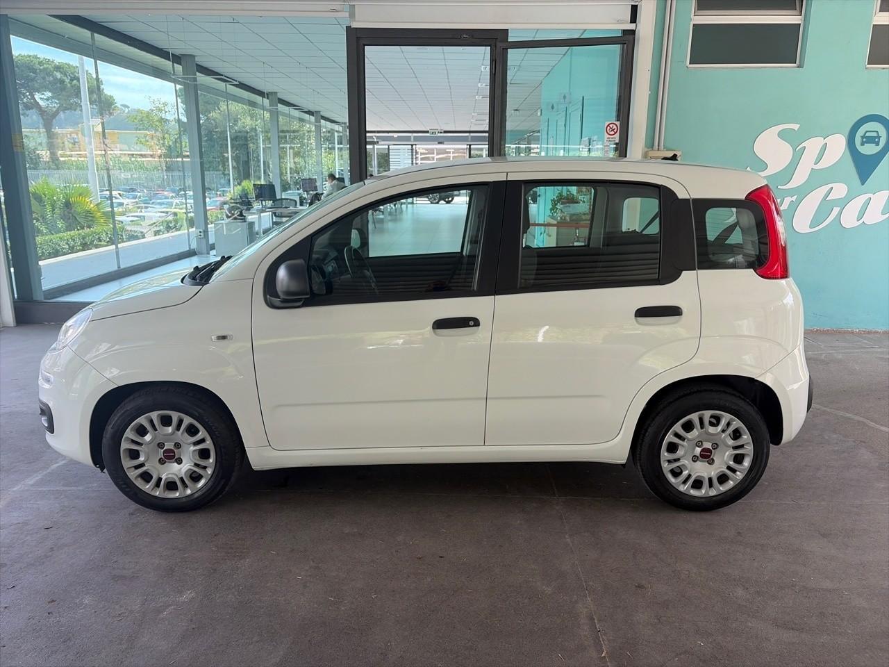 Fiat Fiat Panda usata 13