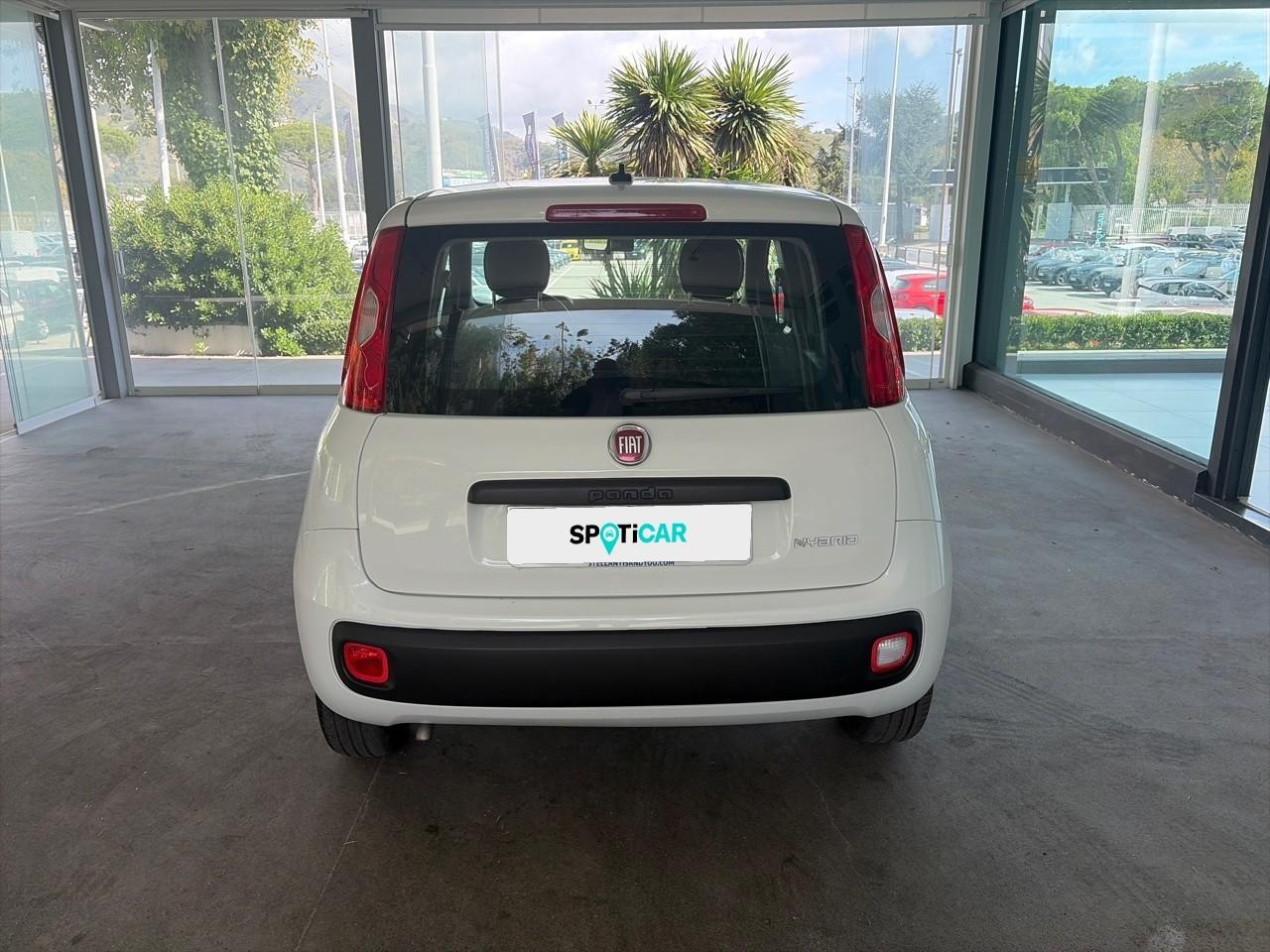 Fiat Fiat Panda usata 14