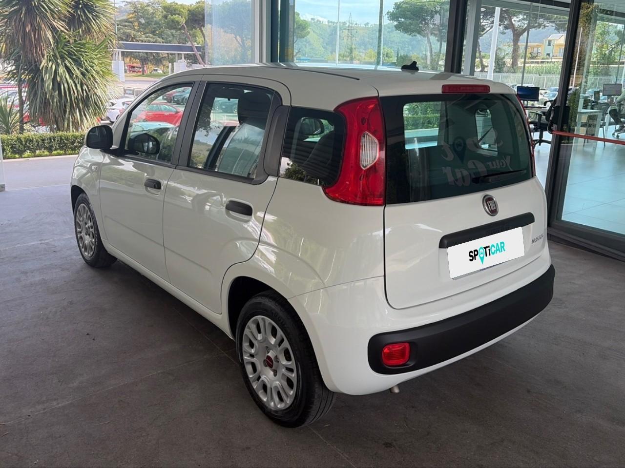 Fiat Fiat Panda usata 16