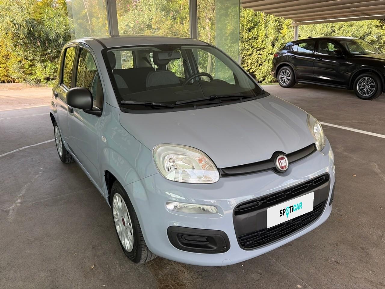 Fiat Fiat Panda usata 10