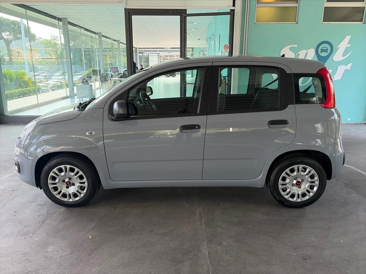 Fiat Fiat Panda usata 11