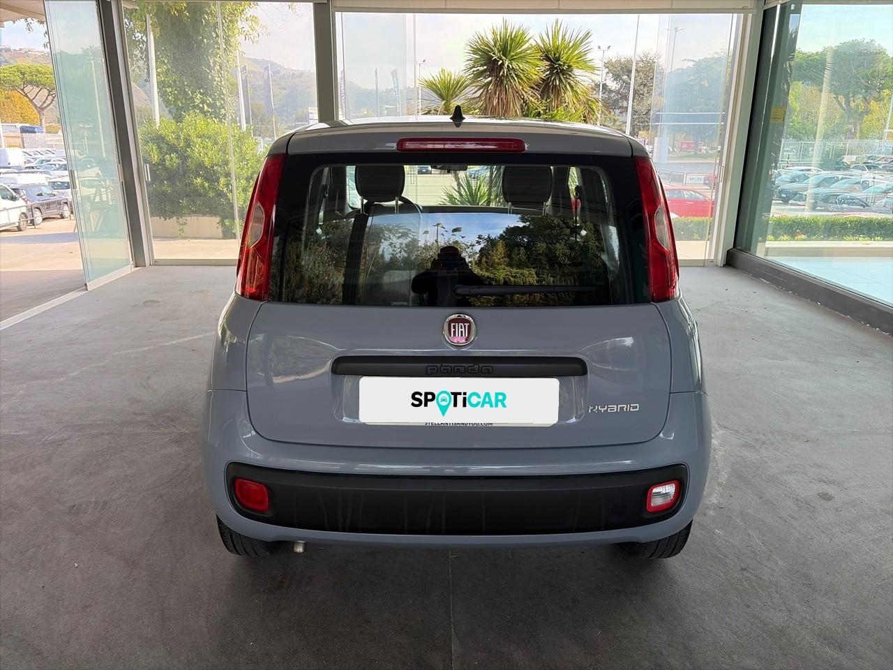 Fiat Fiat Panda usata 12