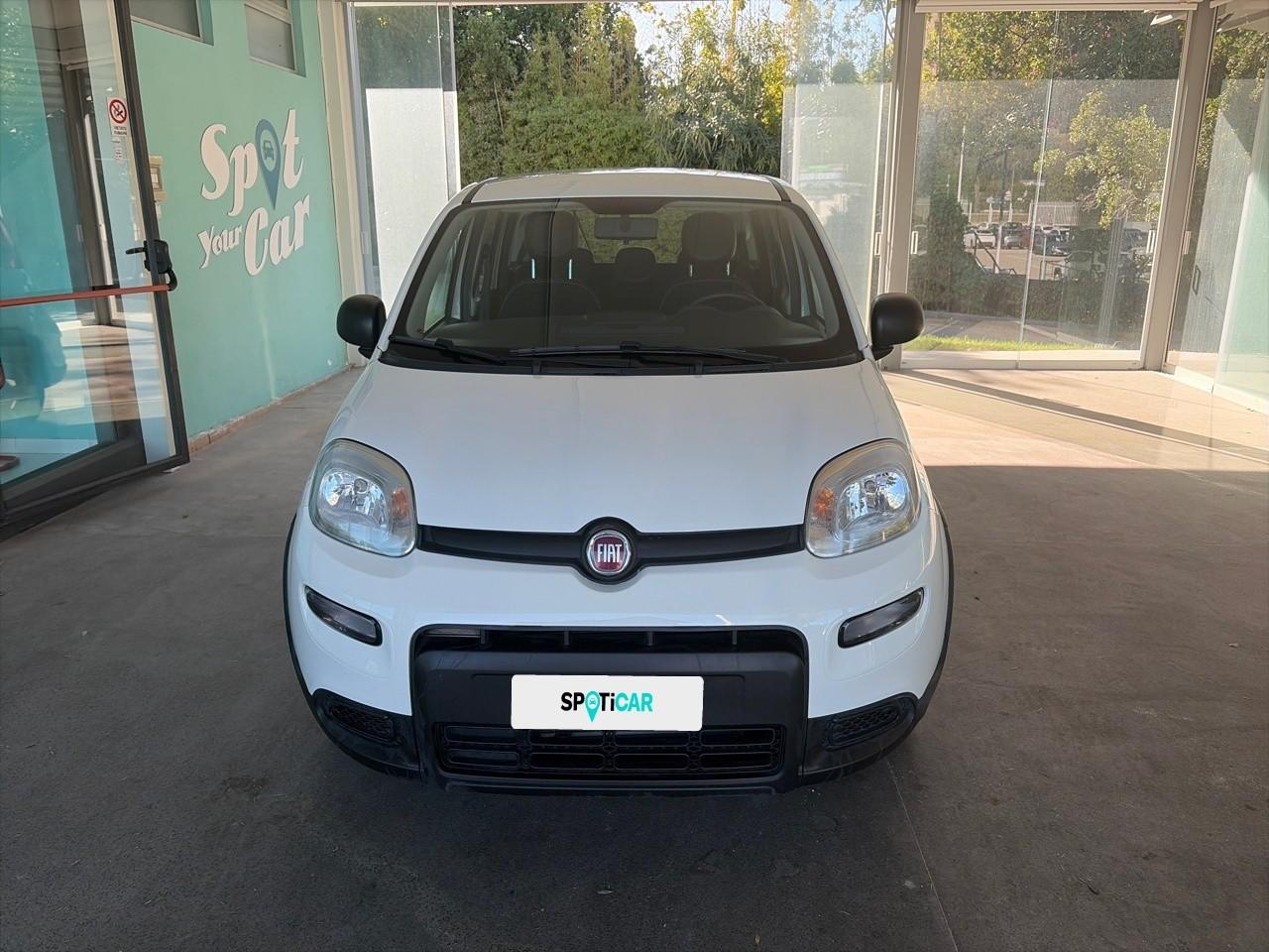 Fiat Fiat Panda usata 11