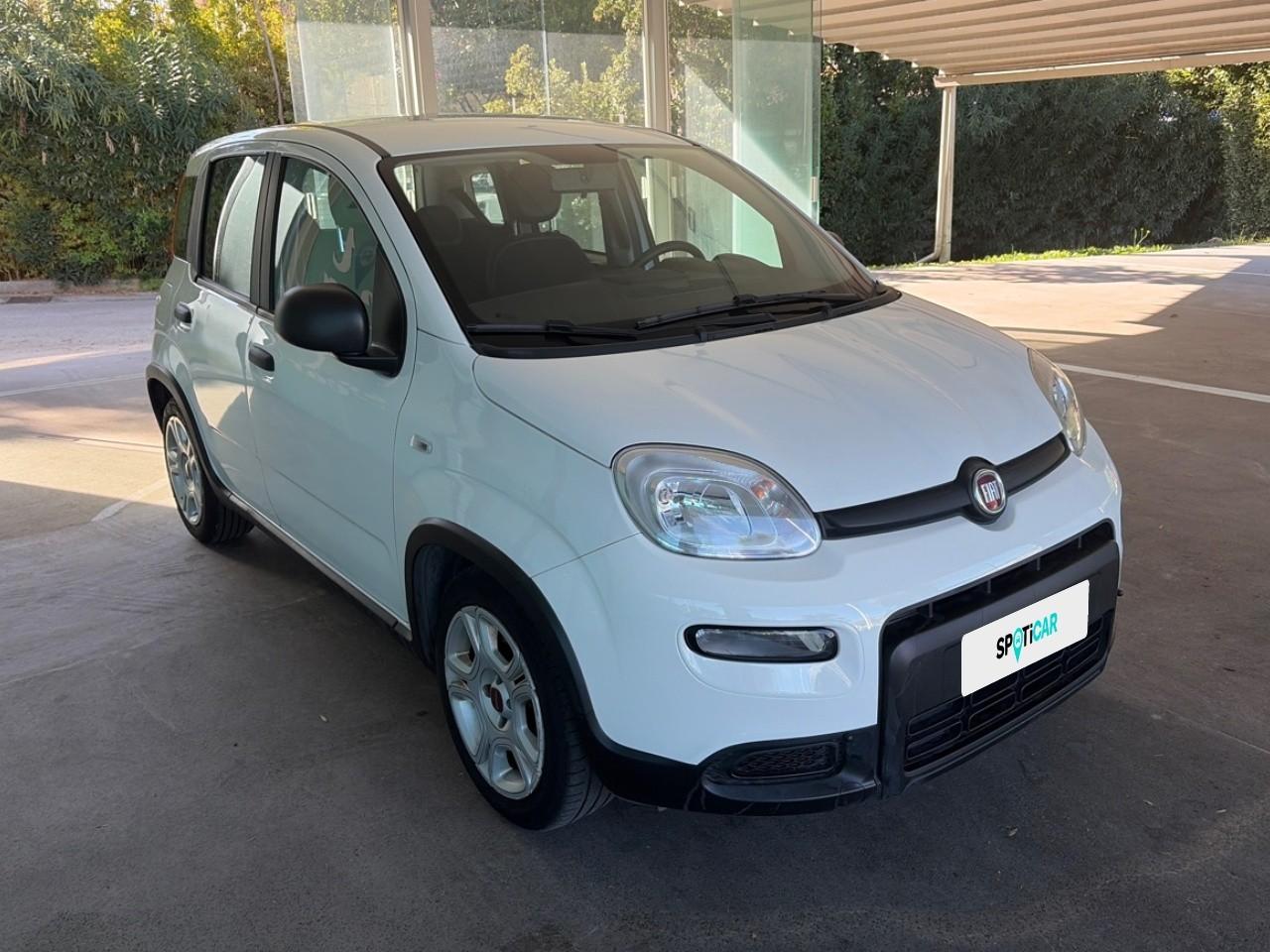 Fiat Fiat Panda usata 12