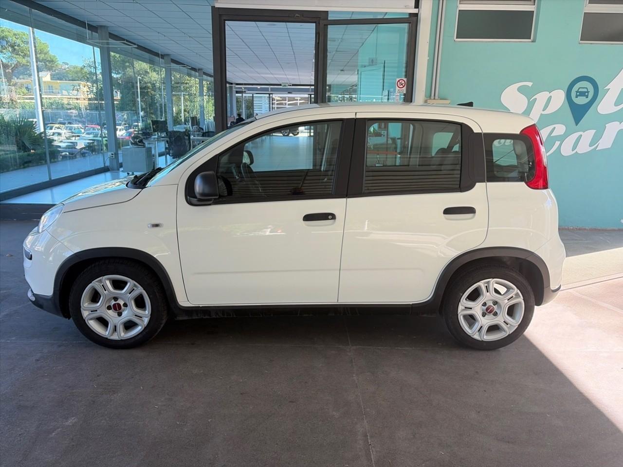 Fiat Fiat Panda usata 13