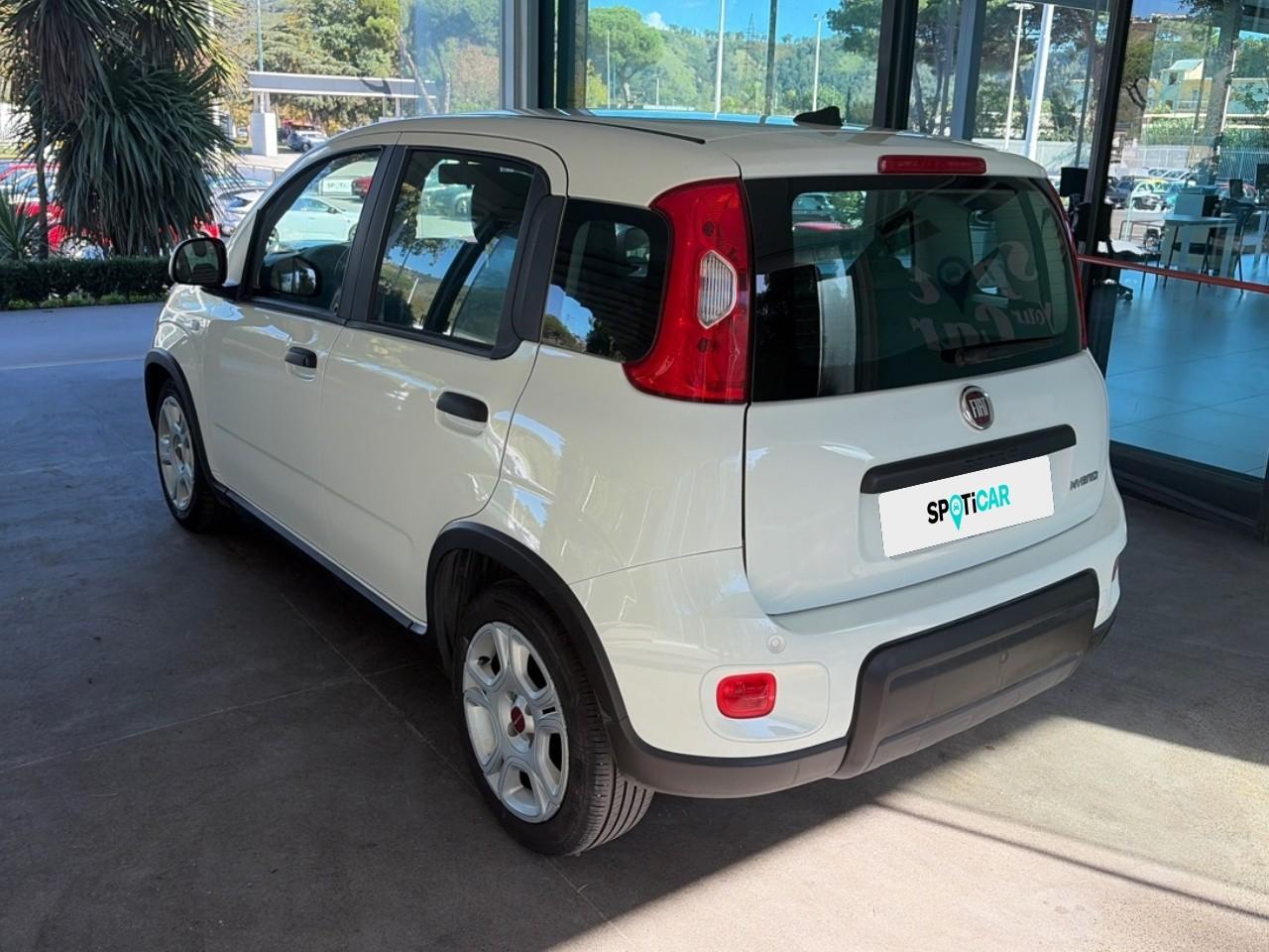 Fiat Fiat Panda usata 16