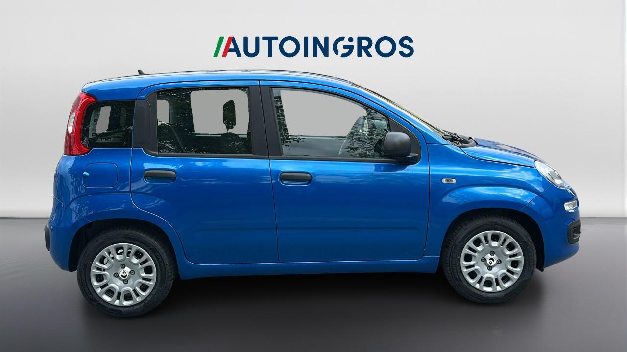 Fiat fiat pandina usata 12