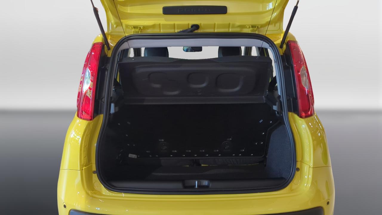 Fiat fiat pandina usata 1