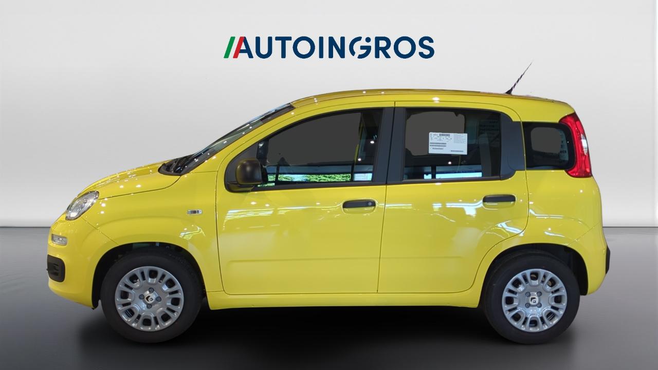 Fiat fiat pandina usata 9