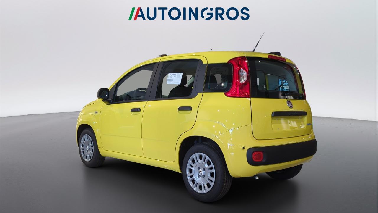 Fiat fiat pandina usata 10