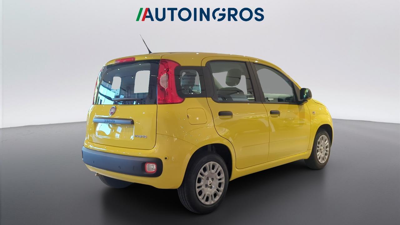 Fiat fiat pandina usata 12