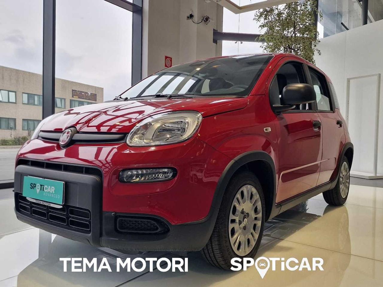 Fiat pandina