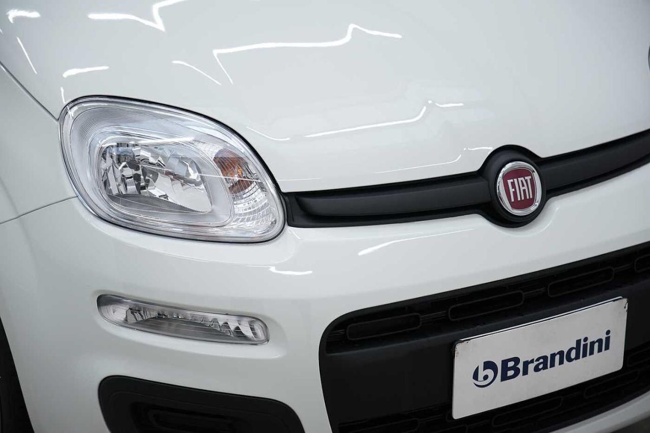 Fiat fiat pandina usata 17