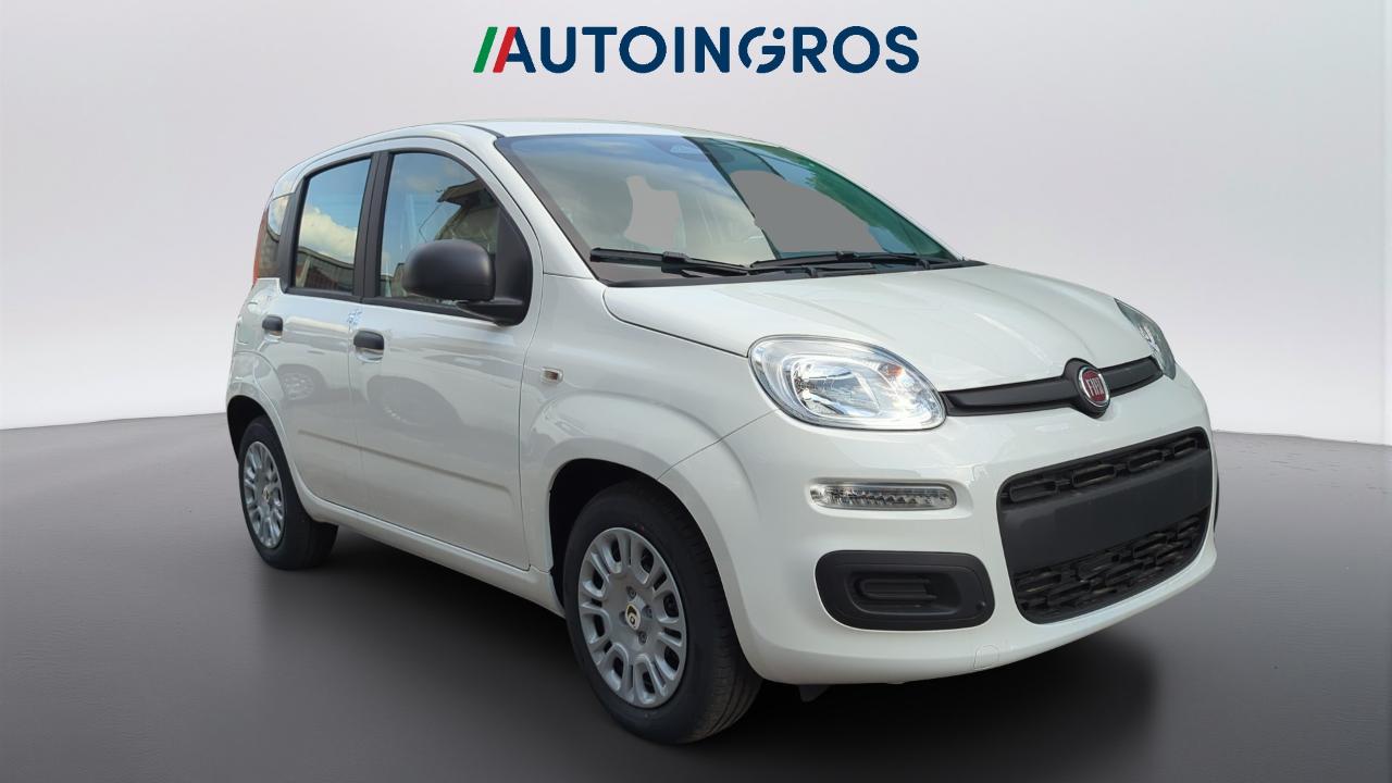 Fiat fiat pandina usata 14