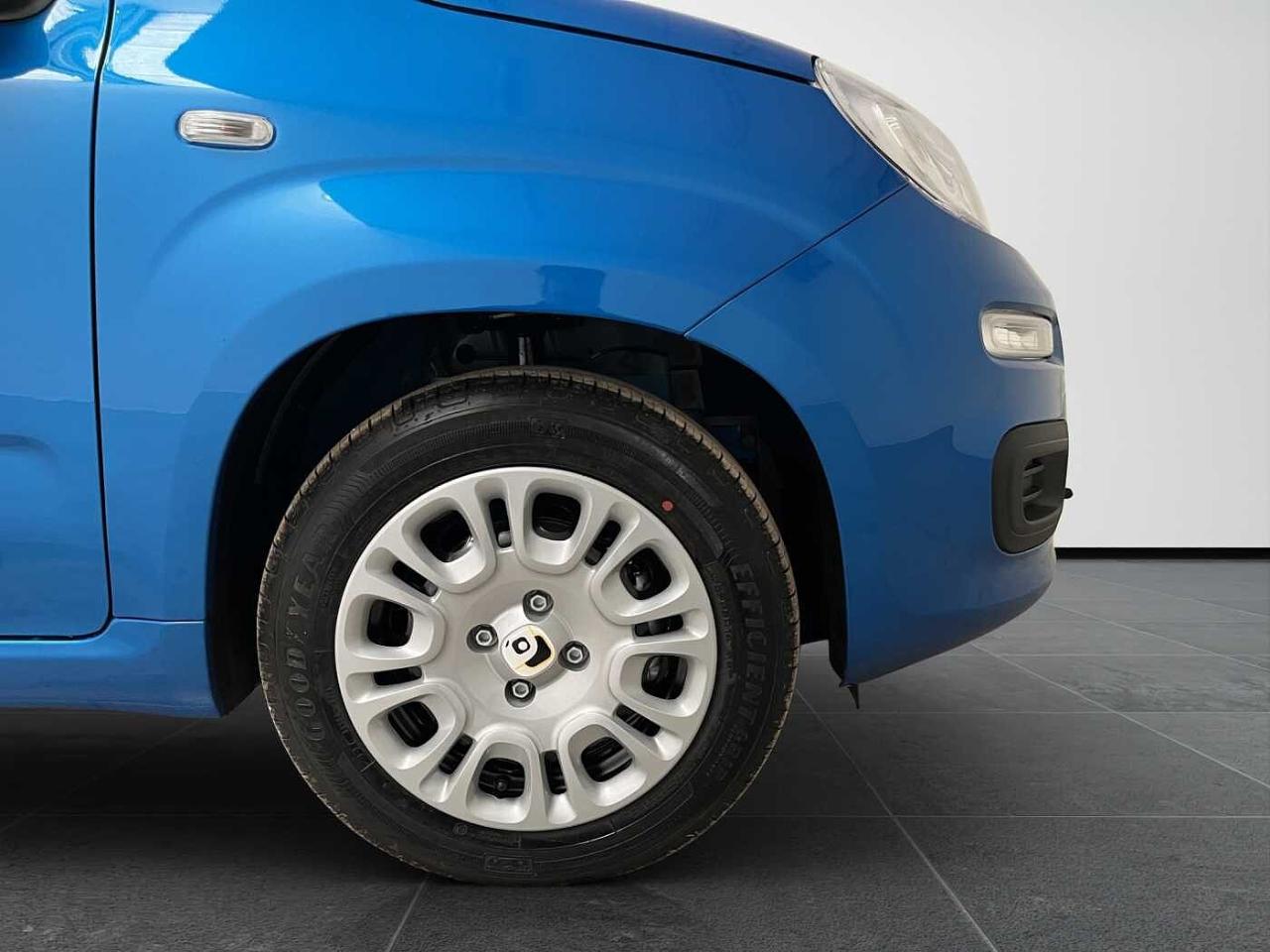 Fiat fiat pandina usata 14
