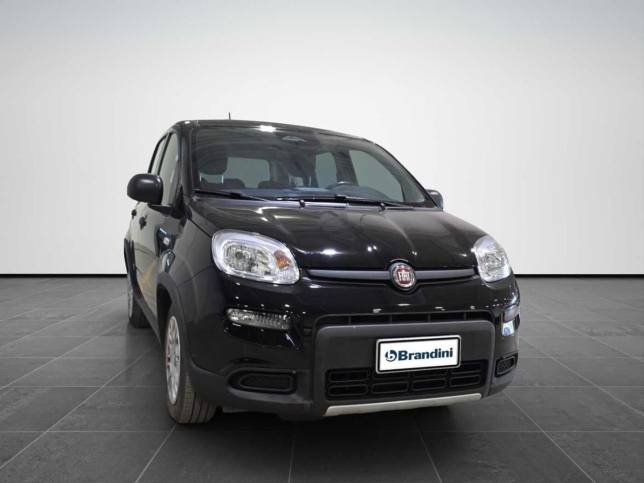 Fiat fiat pandina usata 19
